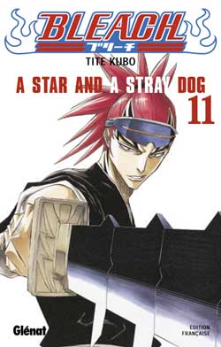 Bleach - Tome 11