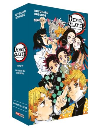 Demon Slayer - Coffret (T17 + Roman N°01)
