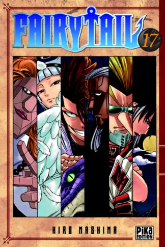 Fairy Tail T17